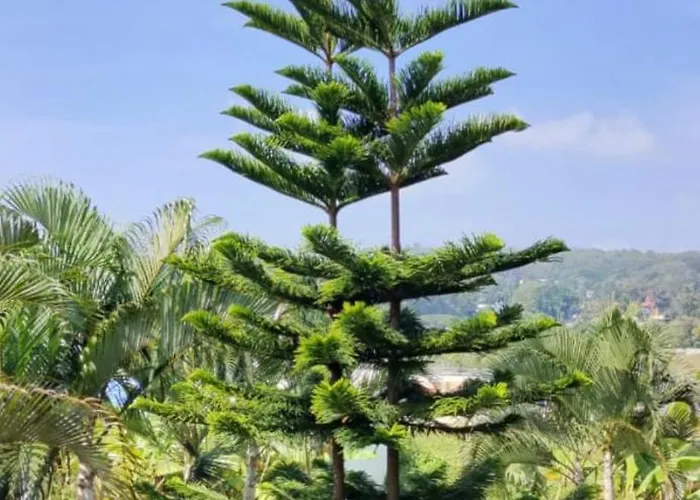 Cloud9Villa Resorts Yelagiri